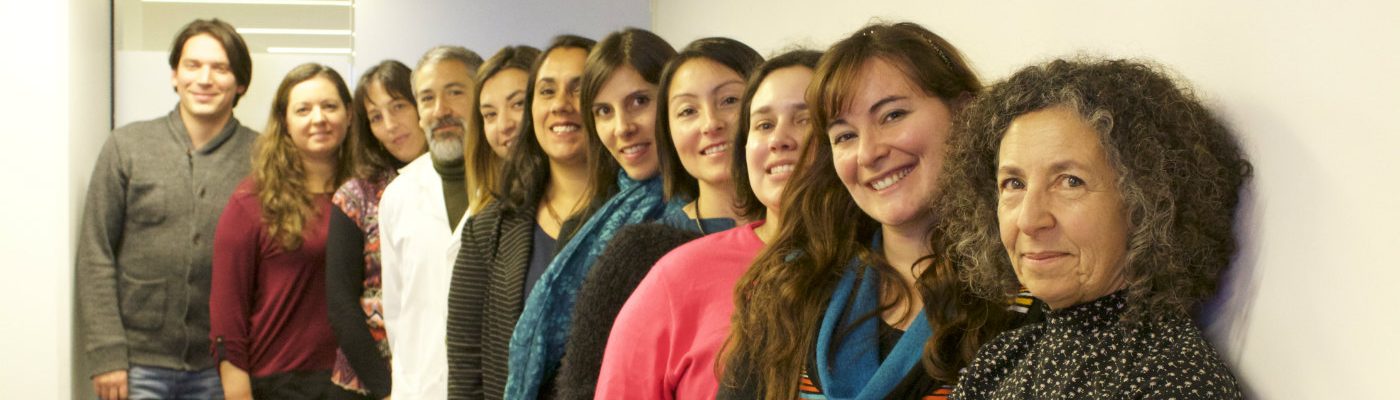 equipo de la cohorte mauco