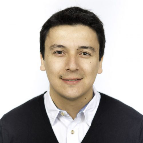 L. Felipe Damiani R. MSC. Ph.D